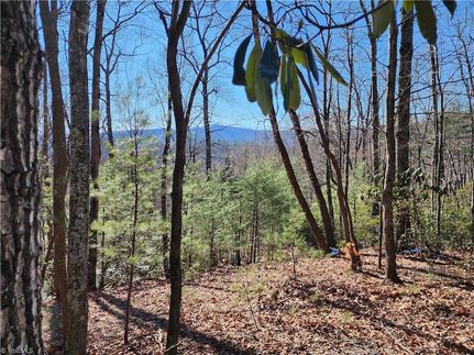 Residential Property for sale in Wilkes County, North Carolina