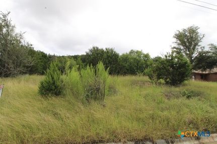 Undeveloped Land for sale in Coryell County, Texas