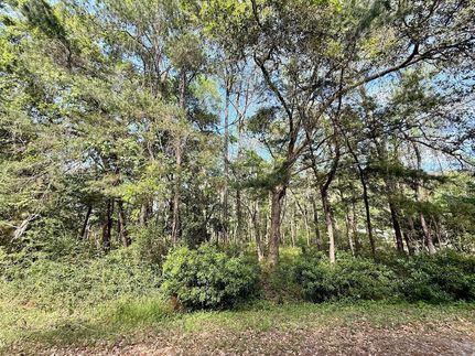 Undeveloped Land for sale in Charleston County, South Carolina