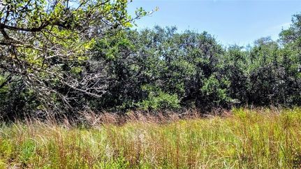 Undeveloped Land for sale in Aransas County, Texas