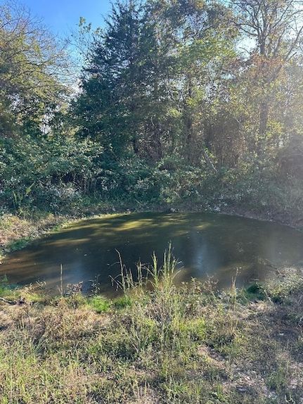 Undeveloped Land for sale in Wright County, Missouri