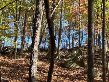 Undeveloped Land for sale in Person County, North Carolina