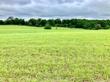 Undeveloped Land for sale in White County, Arkansas