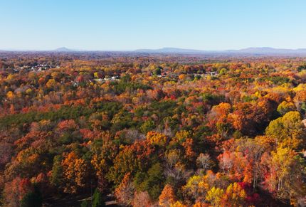 Property for sale in Forsyth County, North Carolina