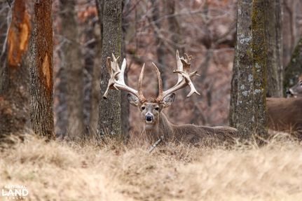 Farm Property for sale in Osage County, Missouri