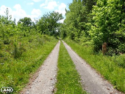 Property for sale in Wilcox County, Alabama