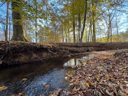 Property for sale in Tallapoosa County, Alabama