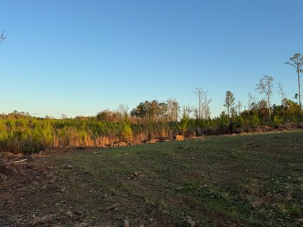 Hunting Land for sale in Tallapoosa County, Alabama