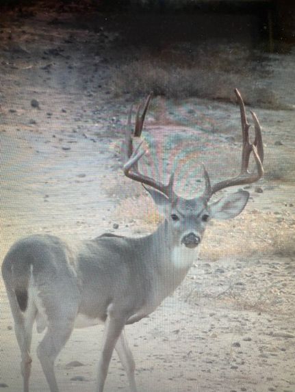 Farm Property for sale in Duval County, Texas