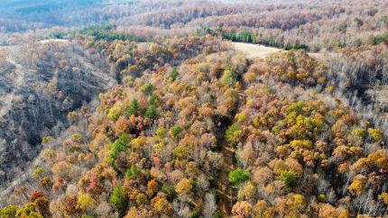 Hunting Land for sale in Hickman County, Tennessee