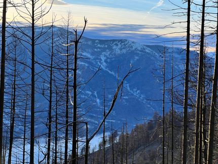 Farm Property for sale in Sanders County, Montana