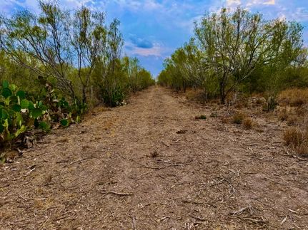 Farm Property for sale in La Salle County, Texas