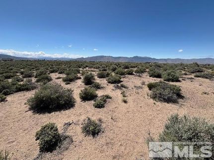 Property for sale in Lyon County, Nevada