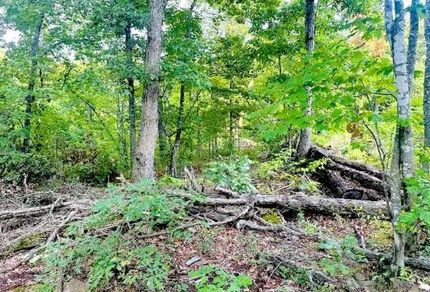 Ranch Property for sale in Madison County, Arkansas