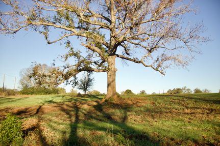 Farm Property for sale in Anderson County, Texas