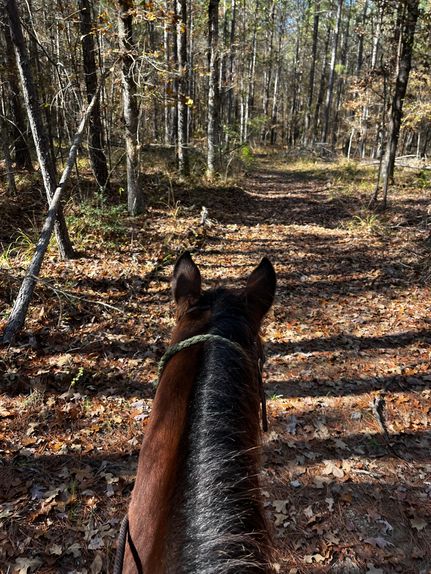 Property for sale in Webster Parish, Louisiana