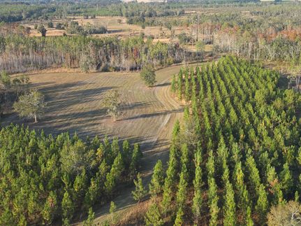 Property for sale in Lafayette County, Florida