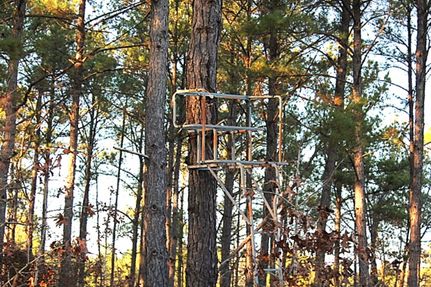 Property for sale in Richmond County, North Carolina