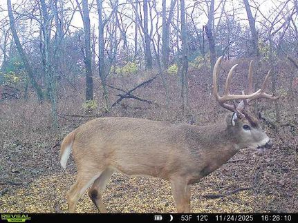 Property for sale in Osage County, Kansas