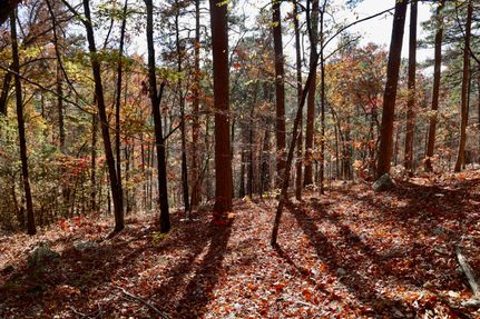 Ranch Property for sale in Le Flore County, Oklahoma