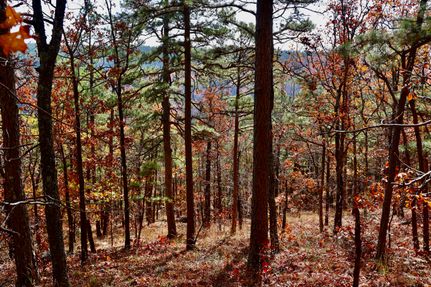 Recreational Property for sale in Le Flore County, Oklahoma