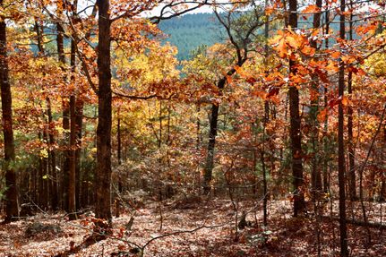 Property for sale in Le Flore County, Oklahoma