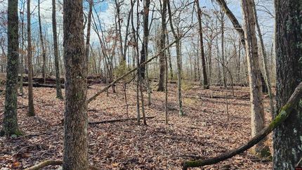 Property for sale in Marion County, Arkansas