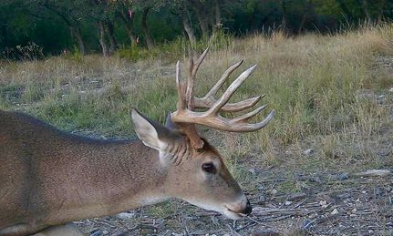 Ranch Property for sale in Lampasas County, Texas