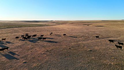 Ranch Property for sale in Washington County, Colorado