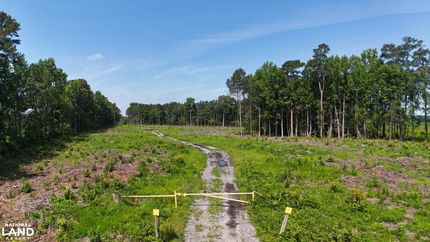 Timberland Property for sale in Bertie County, North Carolina