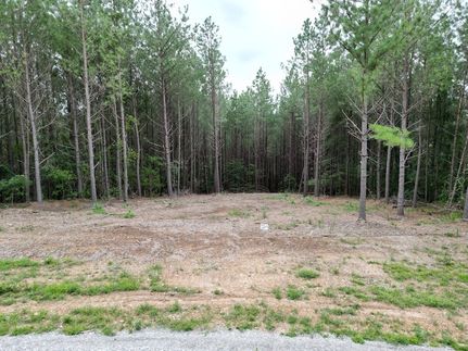 Undeveloped Land for sale in Perry County, Tennessee