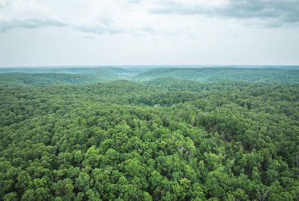 Farm Property for sale in Dent County, Missouri