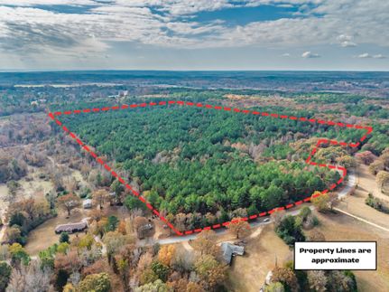 Timberland Property for sale in Yalobusha County, Mississippi