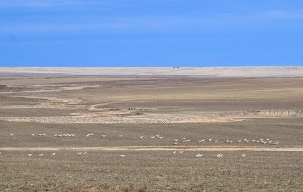 Ranch Property for sale in Otero County, Colorado