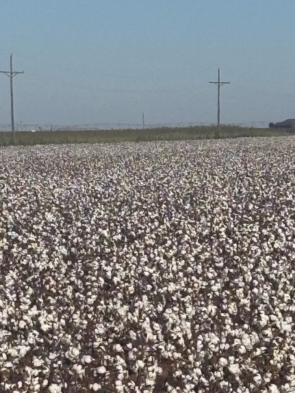 Property for sale in Hale County, Texas