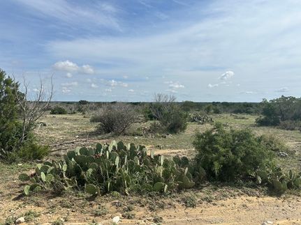 Ranch Property for sale in Crockett County, Texas