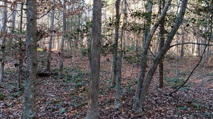 Property for sale in Granville County, North Carolina