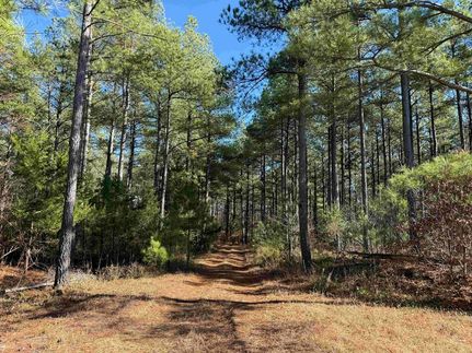 Property for sale in Buckingham County, Virginia