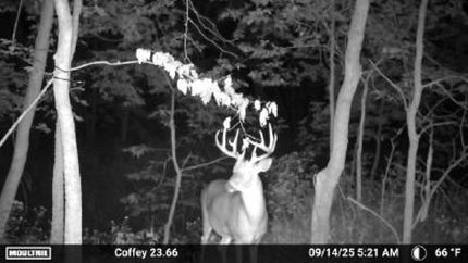 Farm Property in Daviess County, Missouri