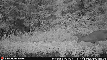 Recreational Property in Morrison County, Minnesota