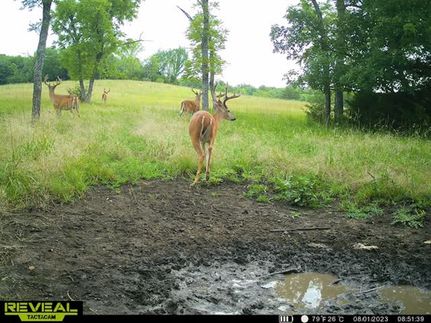 Recreational Property in Osage County, Kansas