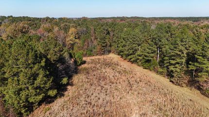 Undeveloped Land for sale in Morgan County, Georgia