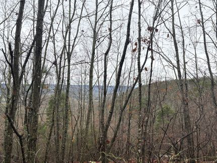 Farm Property for sale in Jackson County, Alabama