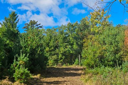 Undeveloped Land for sale in Bayfield County, Wisconsin
