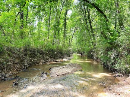 Recreational Property for sale in Putnam County, Georgia