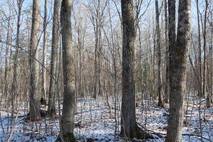 Residential Property for sale in Price County, Wisconsin