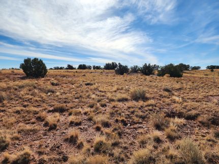 Farm Property for sale in Apache County, Arizona