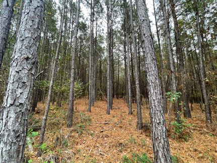 Timberland Property for sale in Smith County, Texas