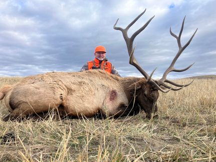 Property for sale in Golden Valley County, Montana