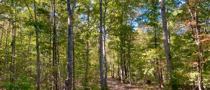 Commercial Property for sale in Charlotte County, Virginia